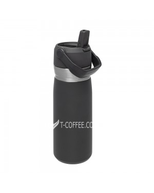 Термобутылка STANLEY Go Flip Action Straw 650 мл - фото