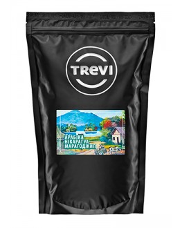 Кофе TREVI Арабика Никарагуа Марагоджип зерновой 1 кг